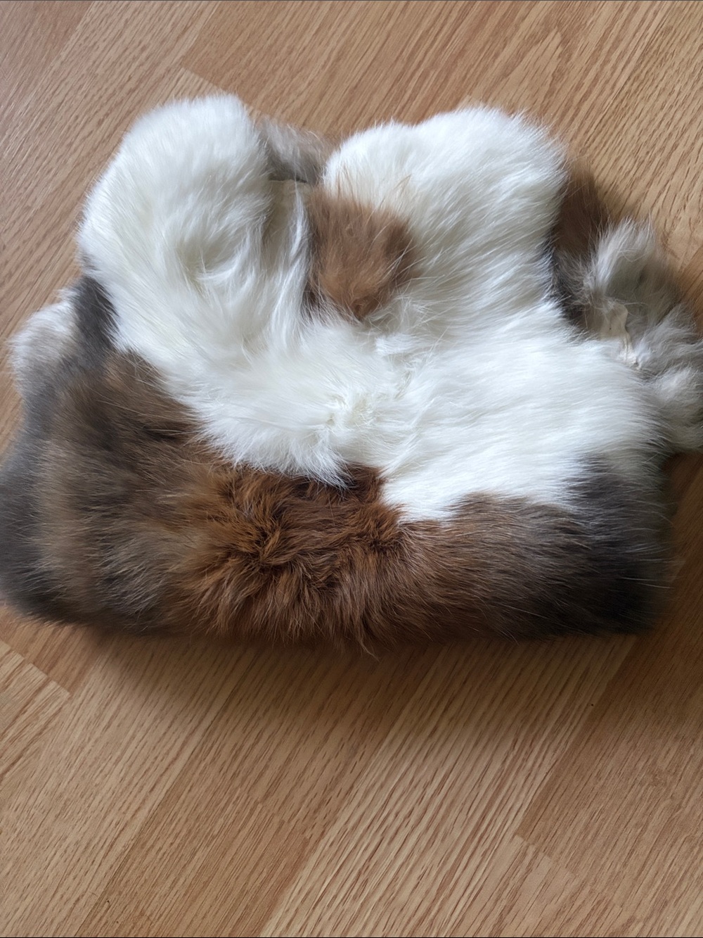 B0041 rabbit pelt- White, Brown & Gray - Picture 3 of 3